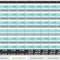 Budget Matrix - PowerBI