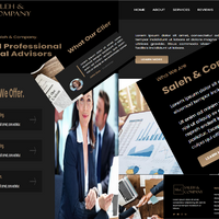 Financial company Wordpress Website