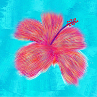 FLOR LORAZ