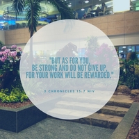 Portfolio Thumbnail 15