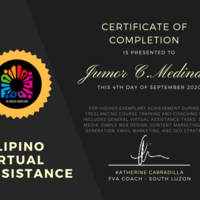 FREELANCING GOLD CERTIFICATE