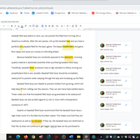 This is a sample of my work in Google Docs.