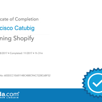 Learning Shopify