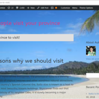WordPress