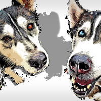 Portfolio Thumbnail 1