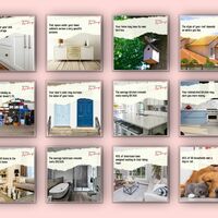 Fun Facts Social Media Content