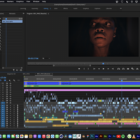 Adobe Premiere pro Timeline