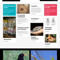 ornithologues.com