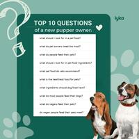 Portfolio Thumbnail 1