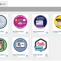 Virtual Assistant Bootcamp Badges