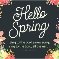 Portfolio Thumbnail 5