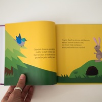 Children´s book-illustration