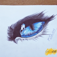 Realistic Eye Drawing (#SyedArt)