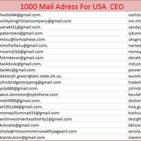 USA Ceo Mail Address