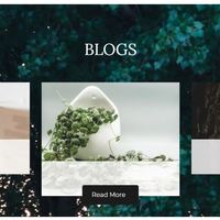 Portfolio Thumbnail 3