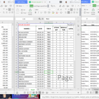 Data entries into spreadsheets