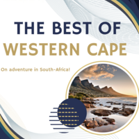 Portfolio Thumbnail 10