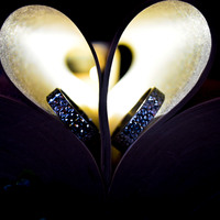 wedding Accessories