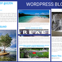 WordPress Blog Post