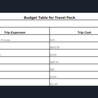 Travel Management