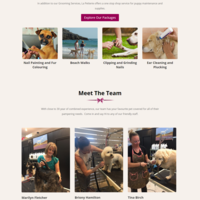Website_Soluon_design_develop