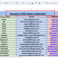 Amaon seller Data entry
