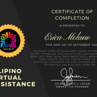Certificate (Gold) For taking Freelancing Course