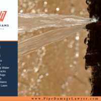 Portfolio Thumbnail 5