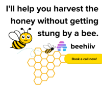 Beehiiv Newsletter