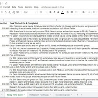 Daily Task Report for Social Media Management