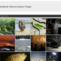 Portfolio Thumbnail 14