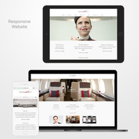 Vistajet Website