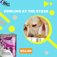 Flyer for SG Pets