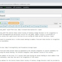 Wordpress Update & Maintenance