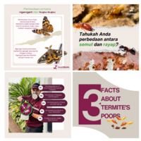 Portfolio Thumbnail 4