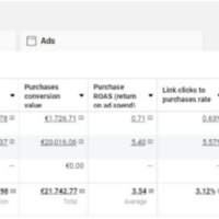  Social Media Ads Specialist