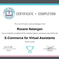 E-Commerce Virtual Assistant Certificate