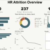 HR Analytics Employee Attrition -Page 1