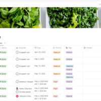 MY PROJECT MANAGEMENT WORK SAMPLE
