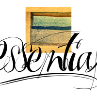 Portfolio Thumbnail 11