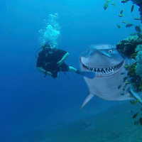 Shark Attach (Photoshop Art)