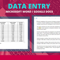 DATA ENTRY (MICROSOFT WORD/GOOGLE DOCS)