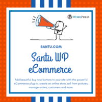 Sanu API for custom store