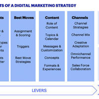 Digital marketing expert 