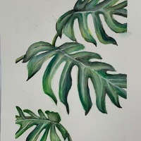 Portfolio Thumbnail 0