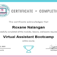 Virtual/Admin Assistant  Certificate