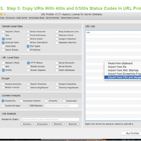 URL Profiler