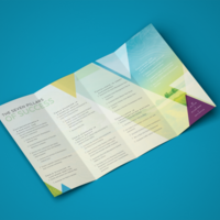 Double Gate-fold Brochure | Government
