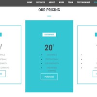 your price section as an example