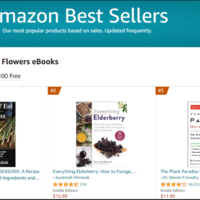 Top 3 Amazon Hot Release – Book Promo & Publishing